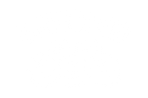 Bingoose Logo